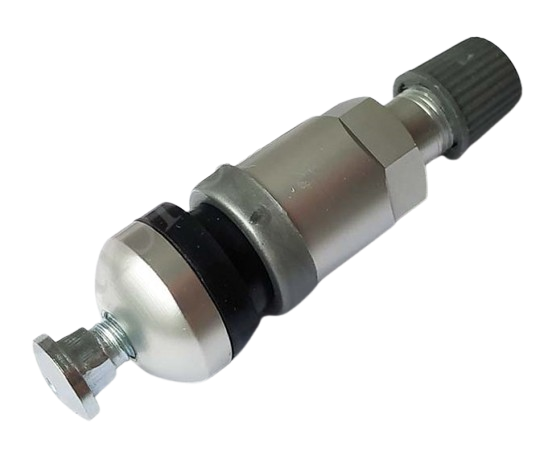  TPMS09 562-3913  (  )