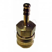 ���������� Rectus ������ � 6