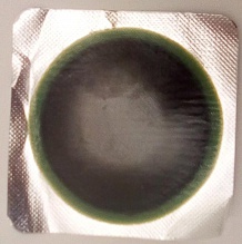  GUT-O2 MARUNI  50 78